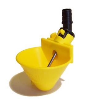 Bebedouro galinha automático