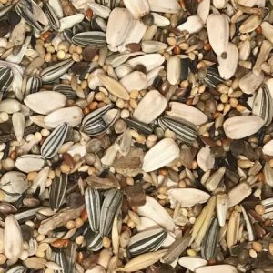 Grandes Psitacideos 20Kg