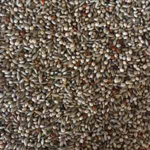 Piriquitos Cria C.C 20Kg