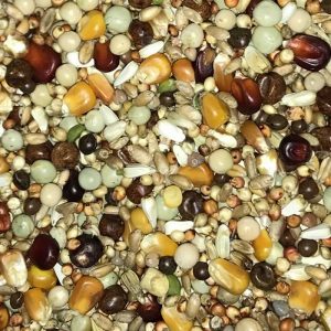 Pombos Reprodutores 25Kg