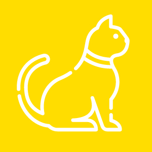 GATO