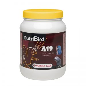 Nutribird A19 800 g