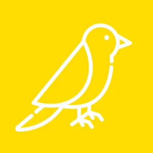 Aves