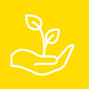 Jardinagem