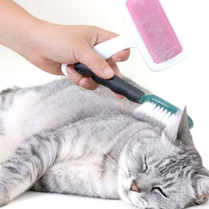 > Higiene Gato