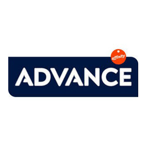 >>Advance