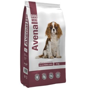 Avenal Dog Adulto Mini 4kg