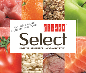 >>Select